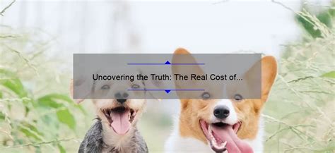 Uncovering the Truth: The Real American Bully Price in the .